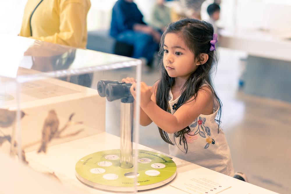 Spark Imagination at the Children's Museum of Virginia