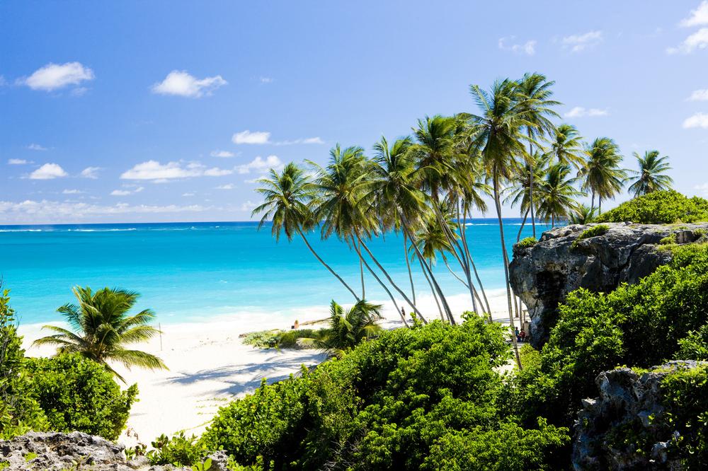 Relax with the sound of gentle rolling waves at Bottom Bay