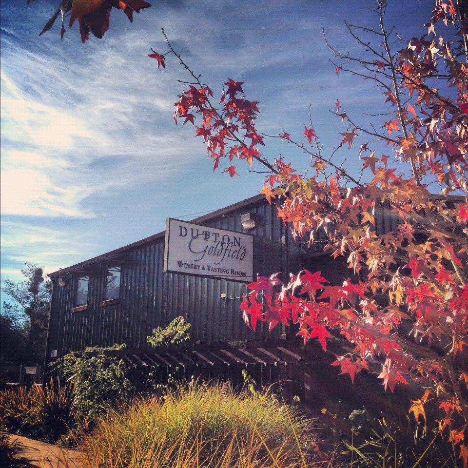 Taste Award-Winning Wines in a Relaxed Setting at Dutton Goldfield Winery