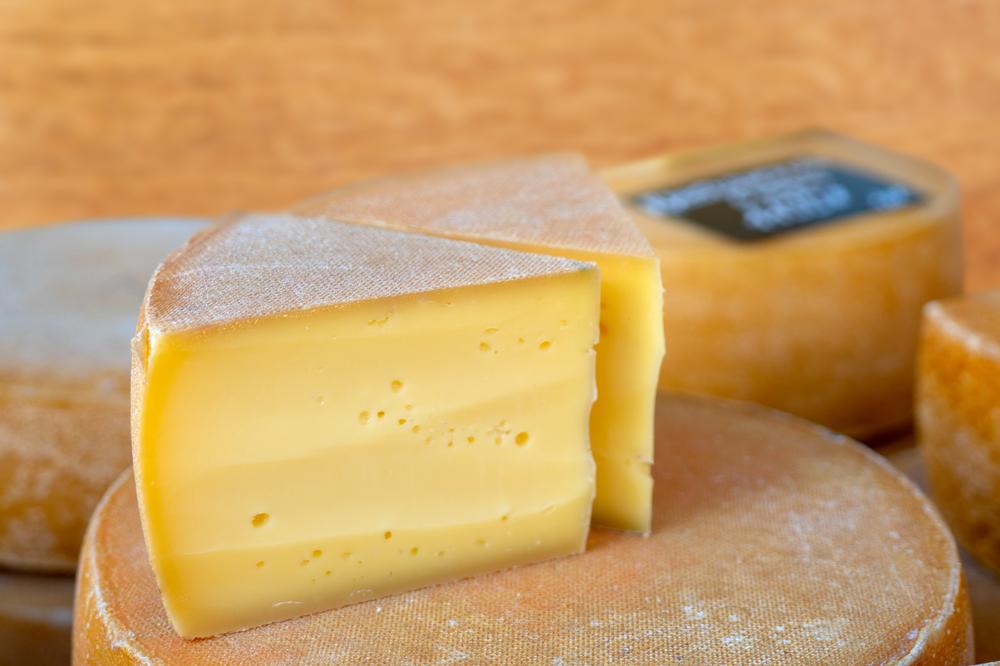 Taste Tradition and Fresh Flavors at Rumiano Cheese Company
