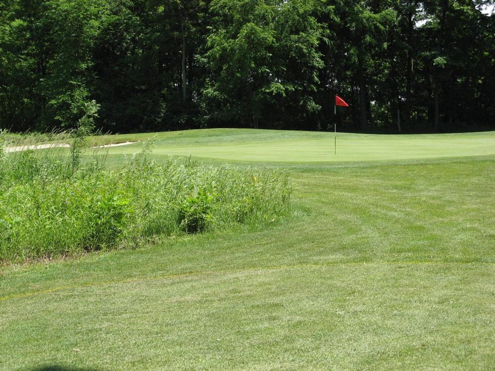 Tee Off Against a Scenic Backdrop at Pierce Lake Golf Course