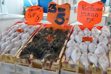 The Fish Market