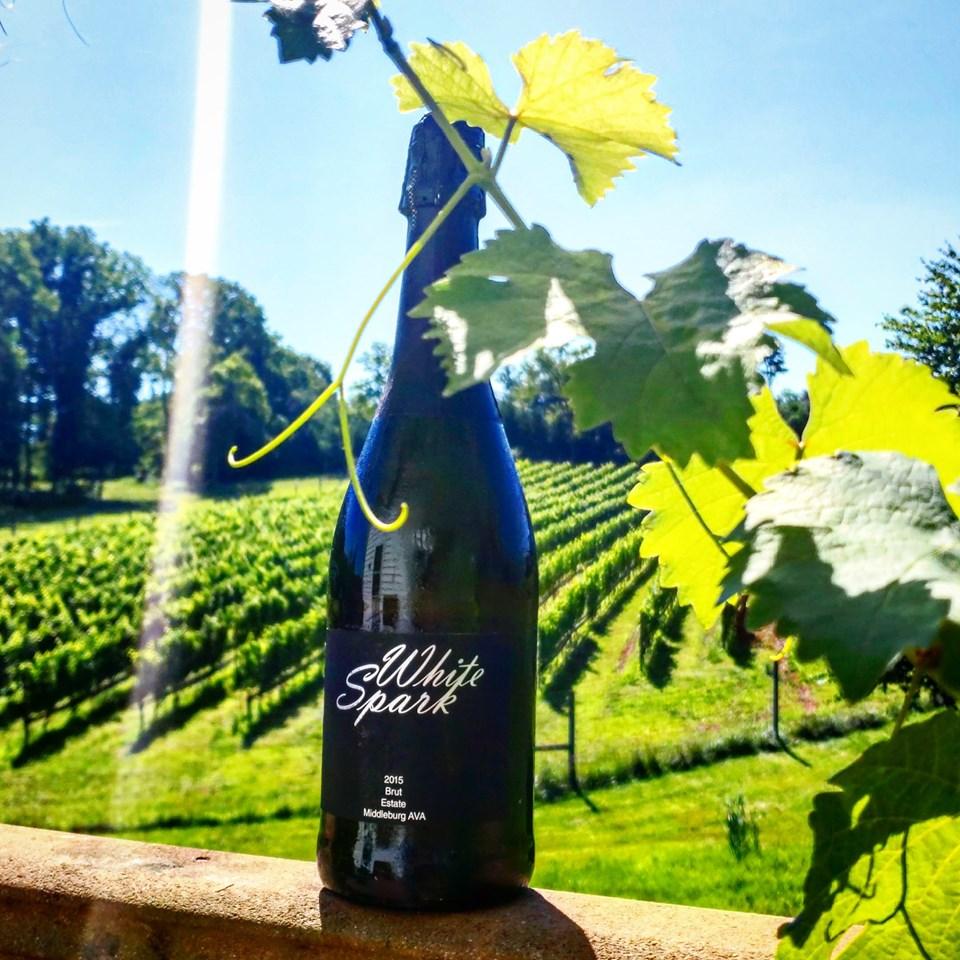 Toast Tranquility at Casanel Vineyards and Winery