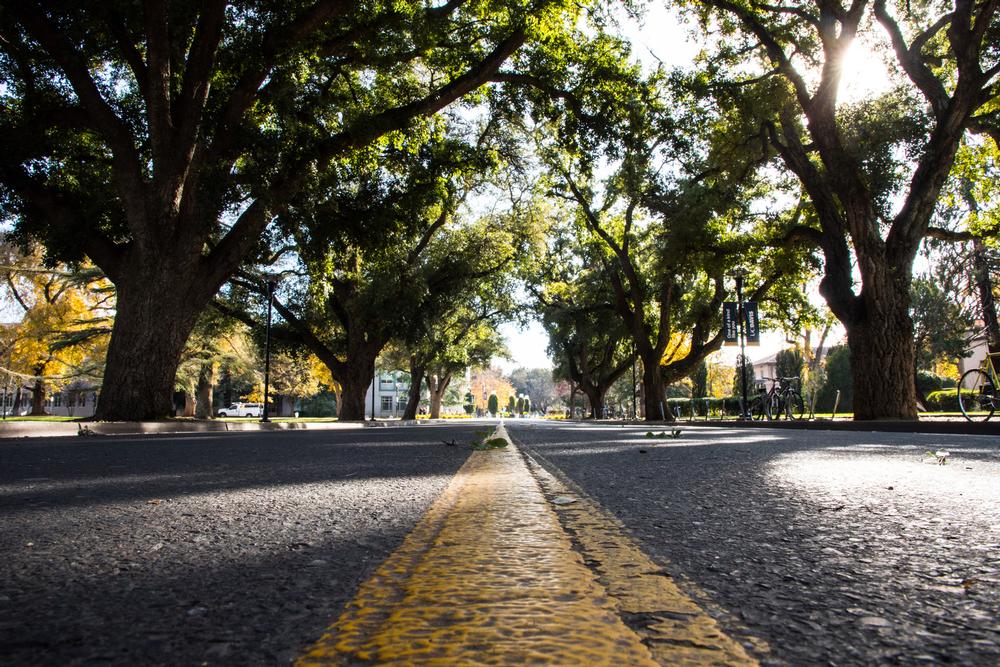 Tour the Lively UC Davis Campus - Full of Research, Art, and History