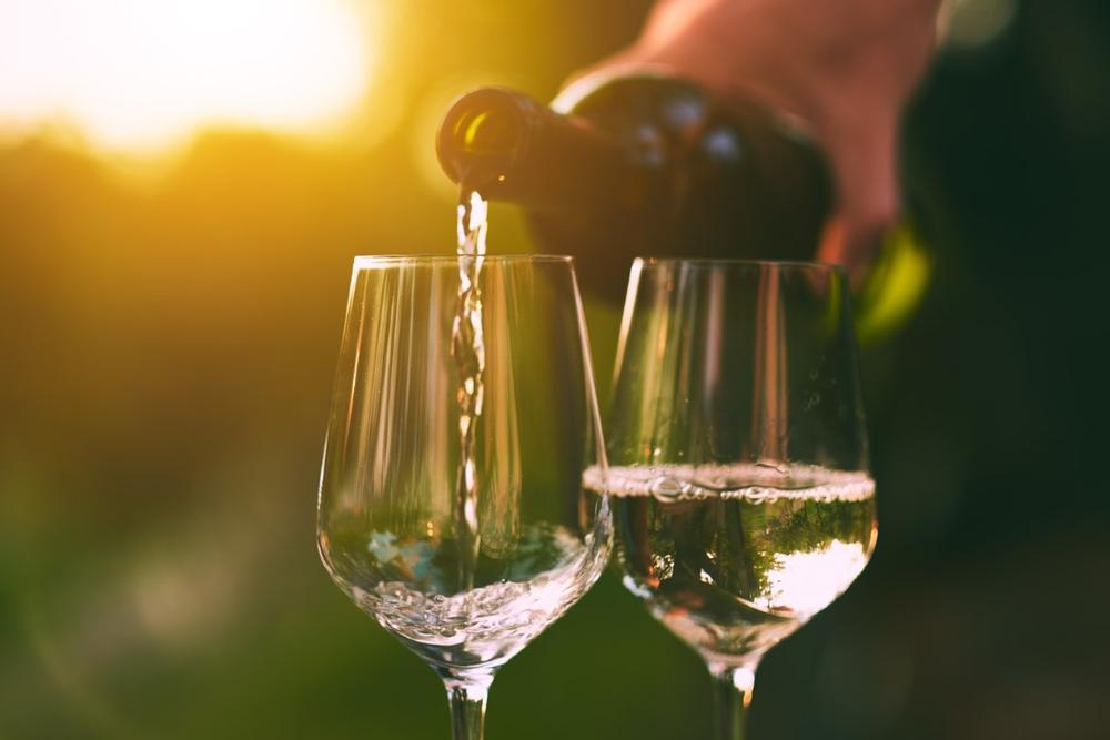 Tour Vineyards and Art Galleries at Trisaetum