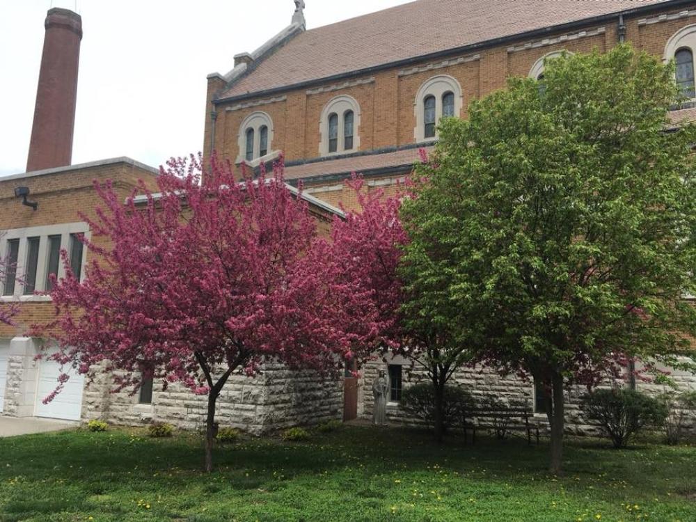 Visit a Center of Quiet Devotion at Mount Saint Scholastica