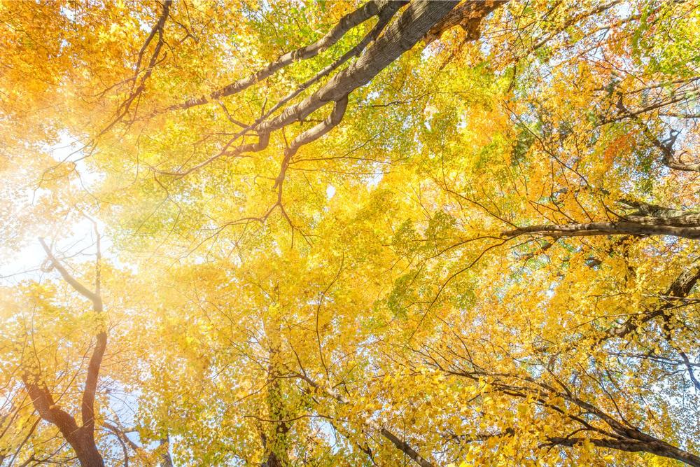 Walk in a Legacy at the Aldo Leopold Foundation