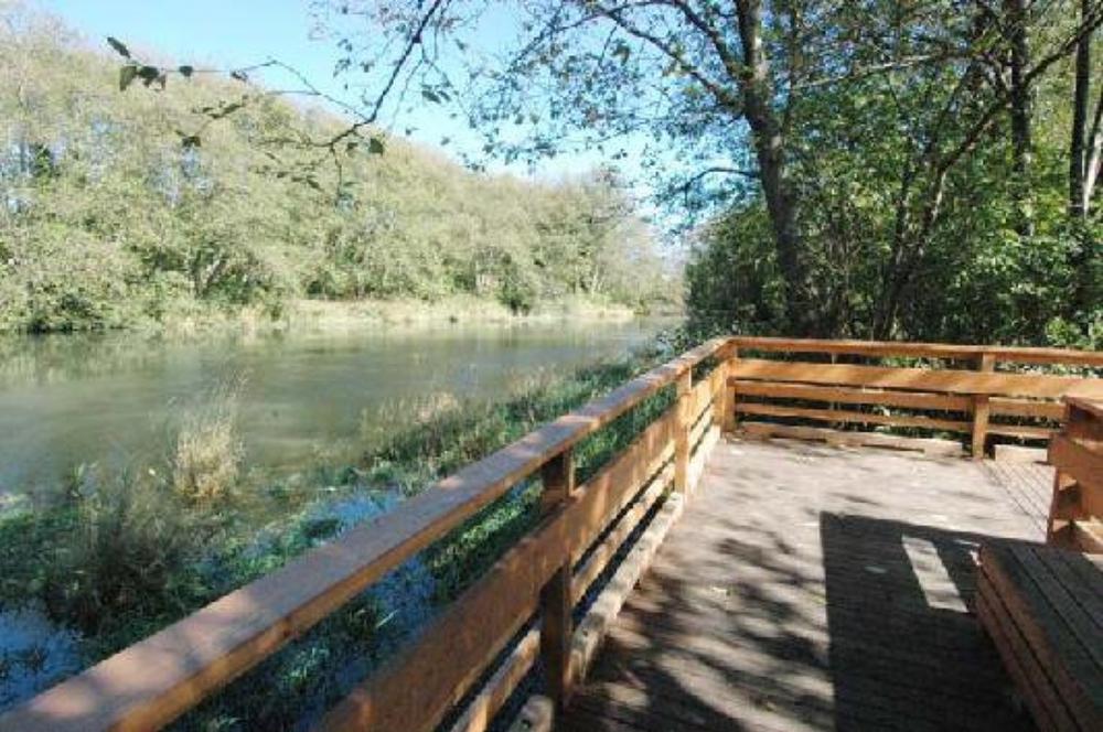 Walk Through Wetlands on the Hoquarton Interpretive Trail