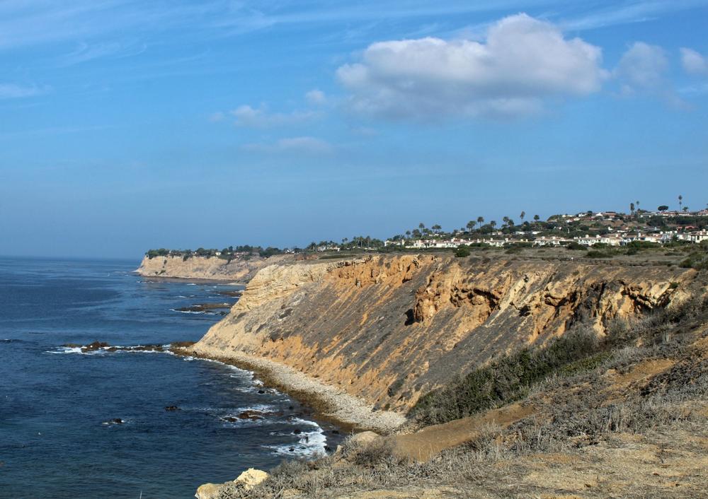 Watch pelicans from the Ocean Trails Reserve