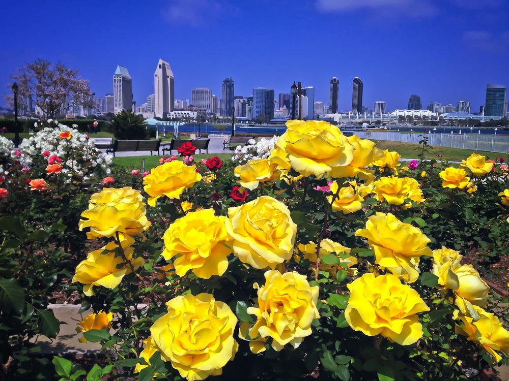 Admire skyline views and snap photos on a quick, romantic stop.