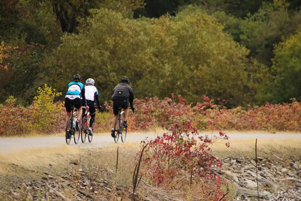 Bike or Walk the Scenic North Idaho Centennial Trail