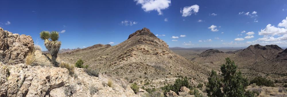 Castle Mountains National Monument