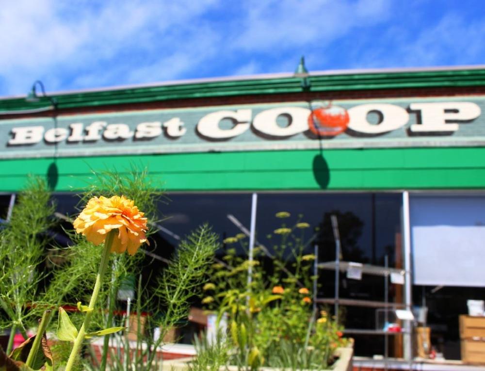 Find Community and Fresh Picks at Belfast Co-op