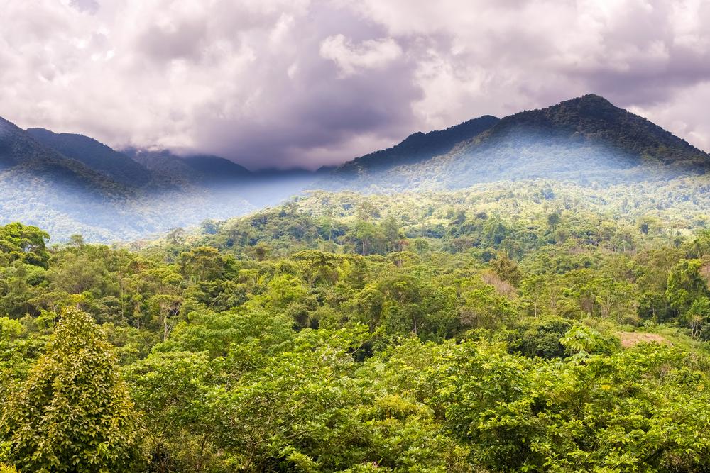 Find Peace in Cerro Azul and Wake to Cloud Forests and Birdsong