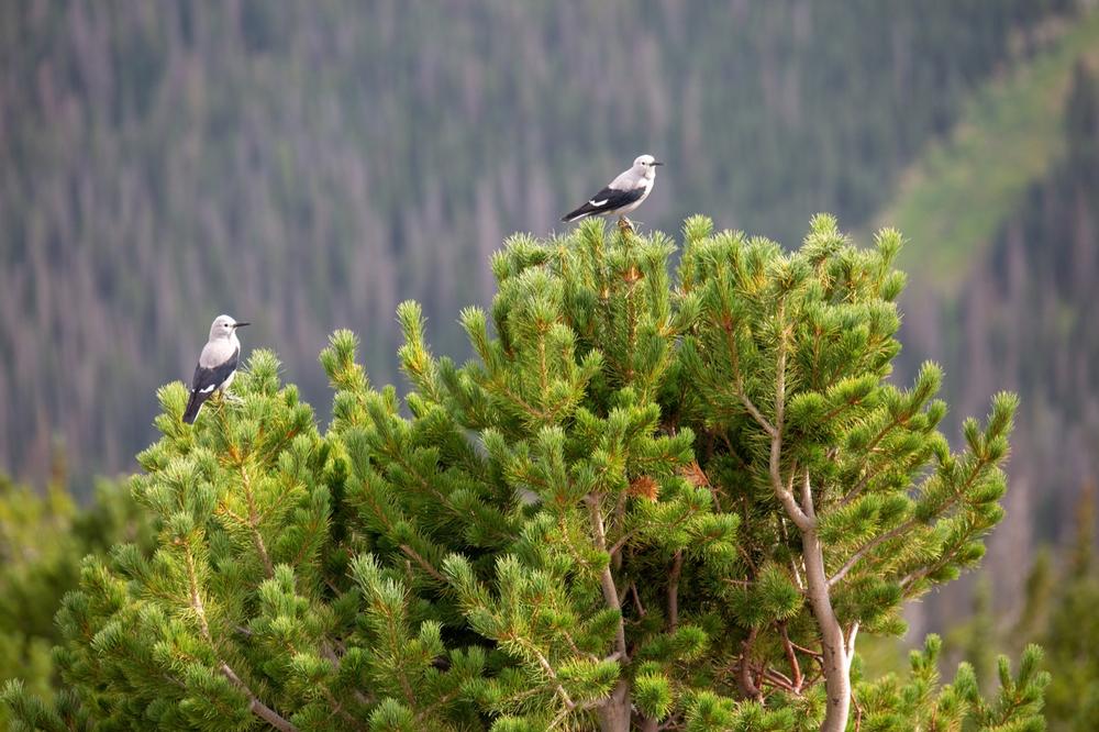 Find Quiet Beauty in Nature at Temple Canyon Park