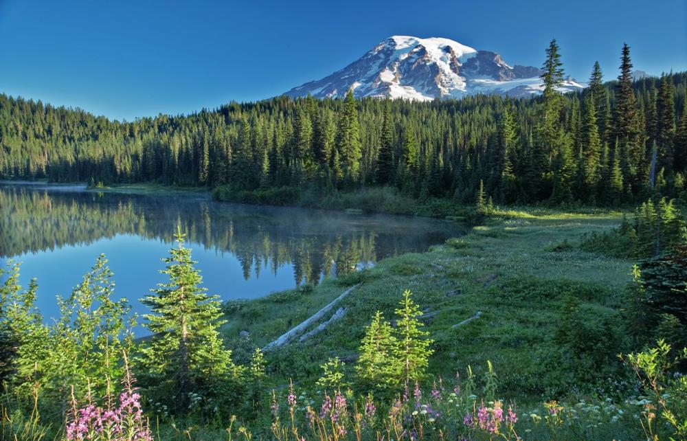 Hike wildflower trails or admire glaciers on a breathtaking summer or fall trip.