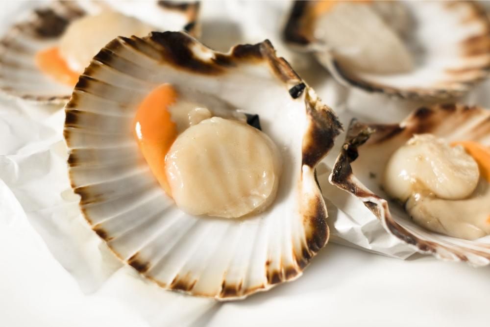 Grab a Bite and Unwind at Longboards
