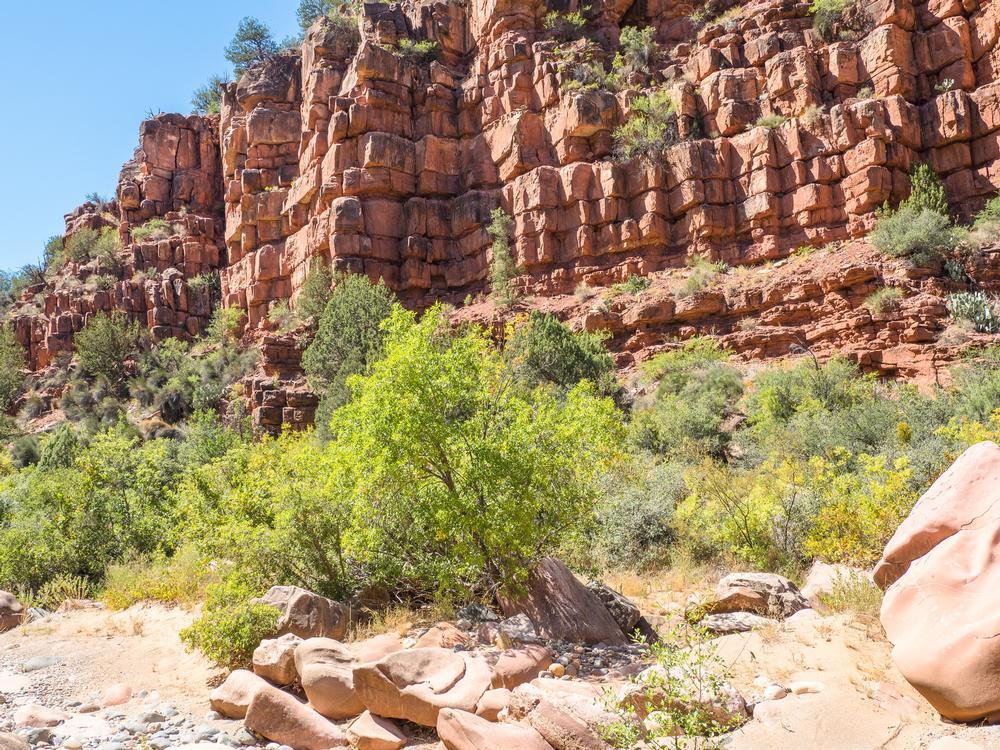 Hike into Natural Beauty at Sycamore Canyon