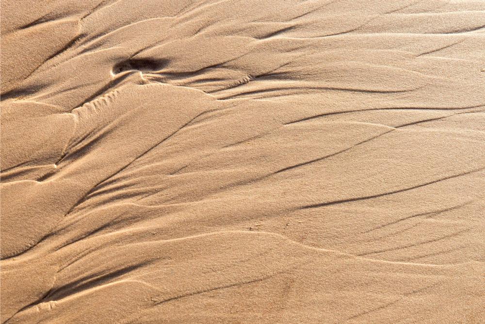 Hike Sand Dunes and Forest Trails at Nordhouse Dunes Wilderness