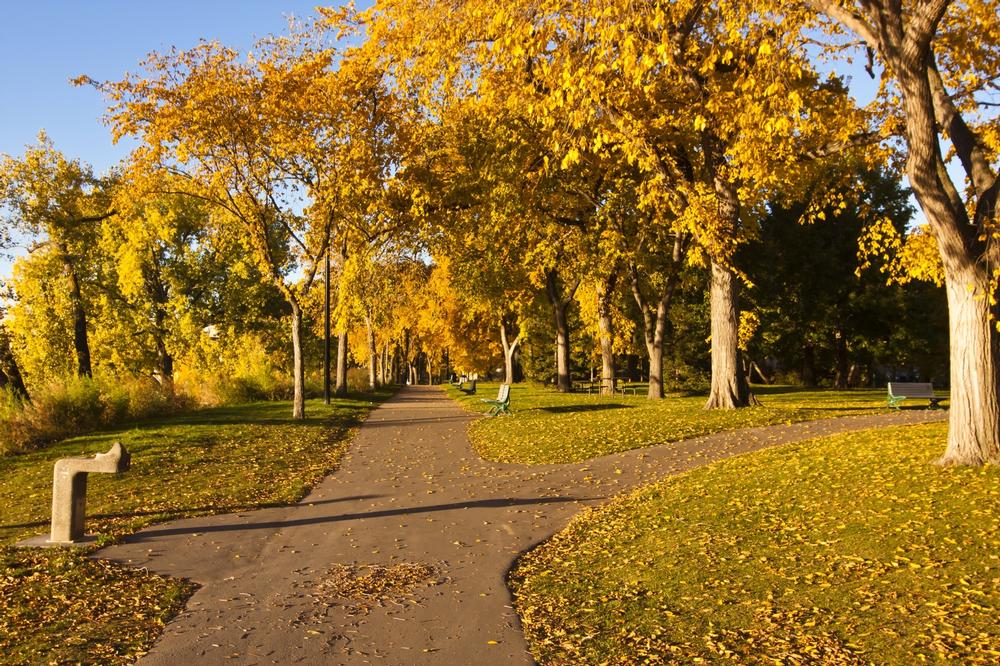 Hike the Heart of the City on the Meewasin Trail