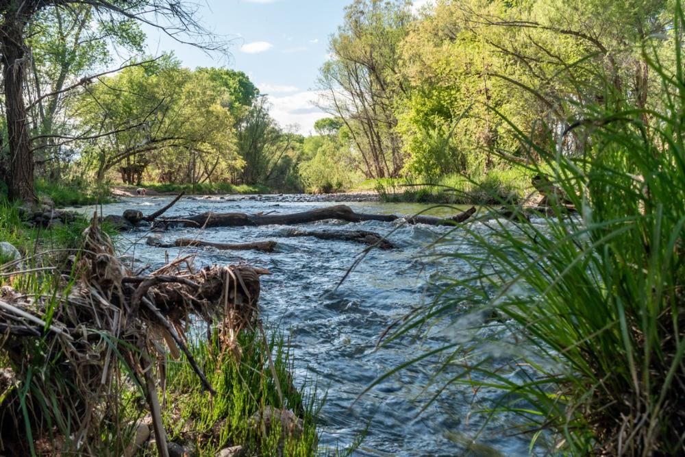 If You Crave Scenic Serenity, Wander the Verde River Greenway
