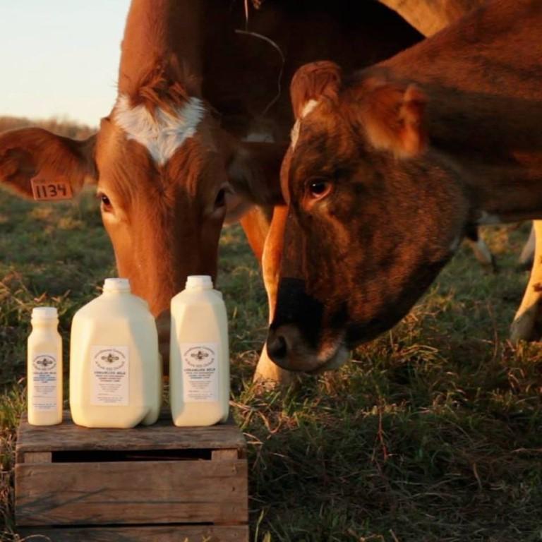 Indulge in Fresh Dairy Delights at Woodbourne Creamery at Rock Hill Orchard
