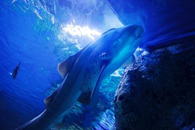 Jakarta Aquarium