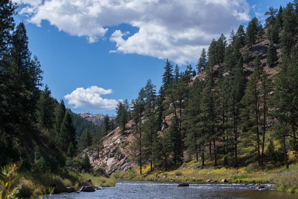 Kayak in South Platte Park and the Carson Nature Center