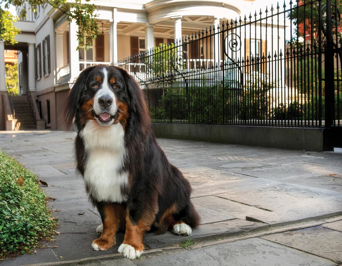 Learn About History at the Juliette Gordon Low Birthplace