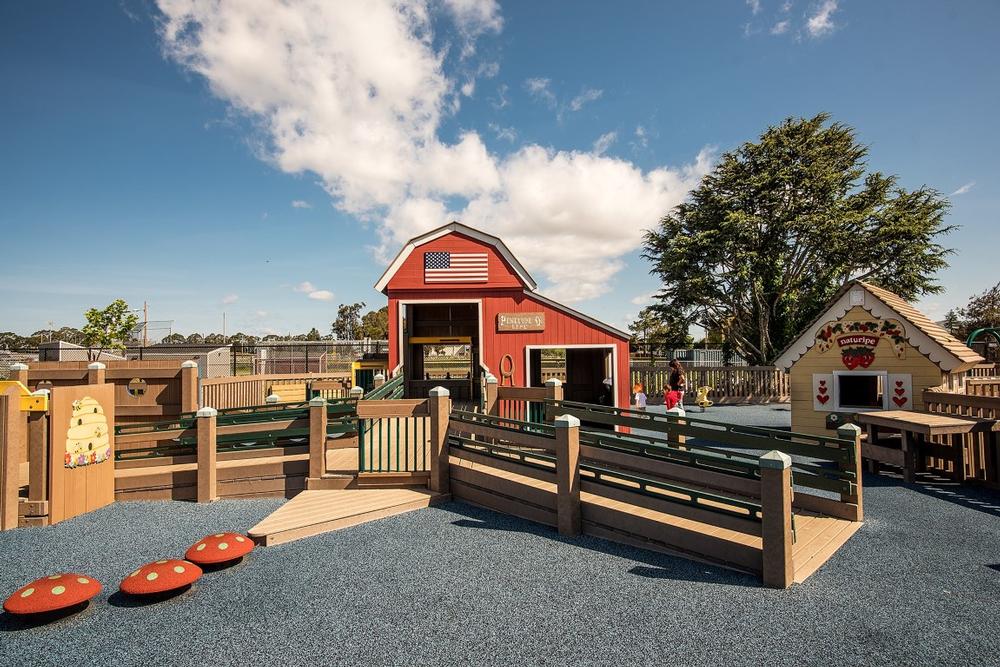 Let Kids Play Freely at Tatum’s Garden