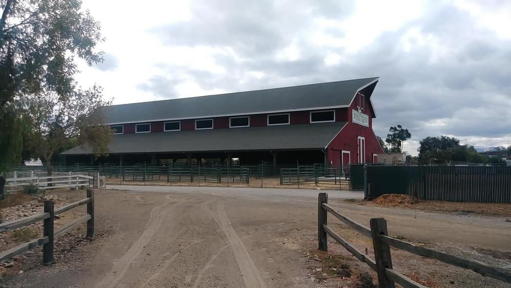 Meet the Animals at Emma Prusch Farm Park