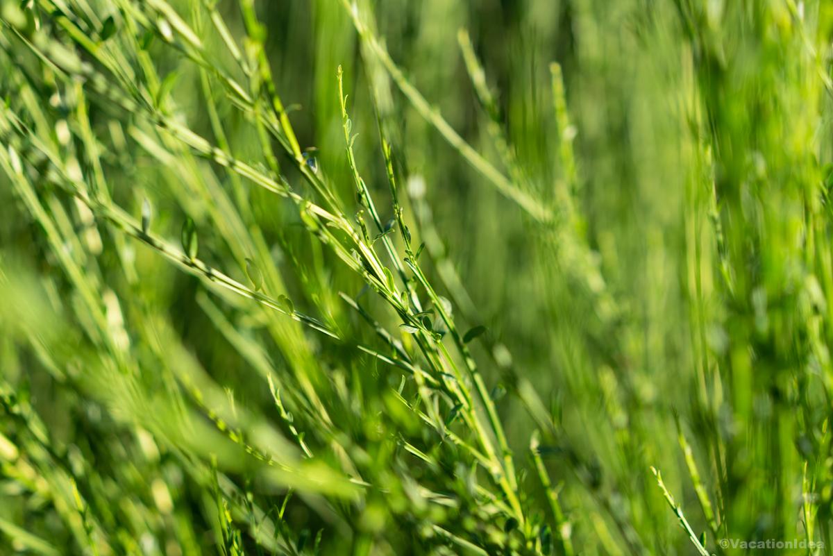 My photo along the trail in the spring