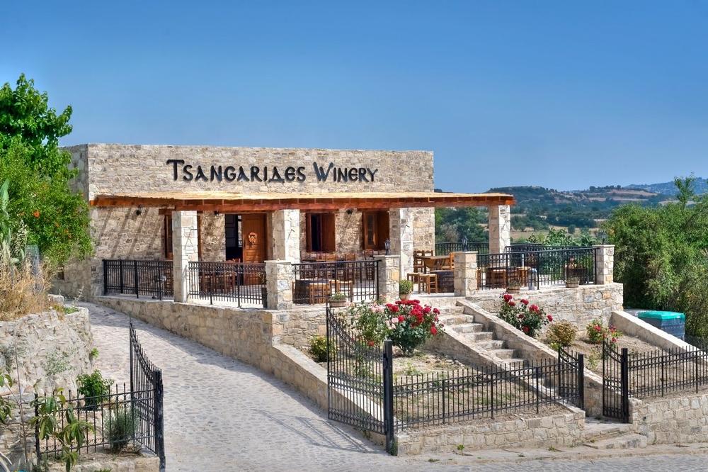 Sip Organic Wines and Stroll Vineyards at Tsangarides Winery