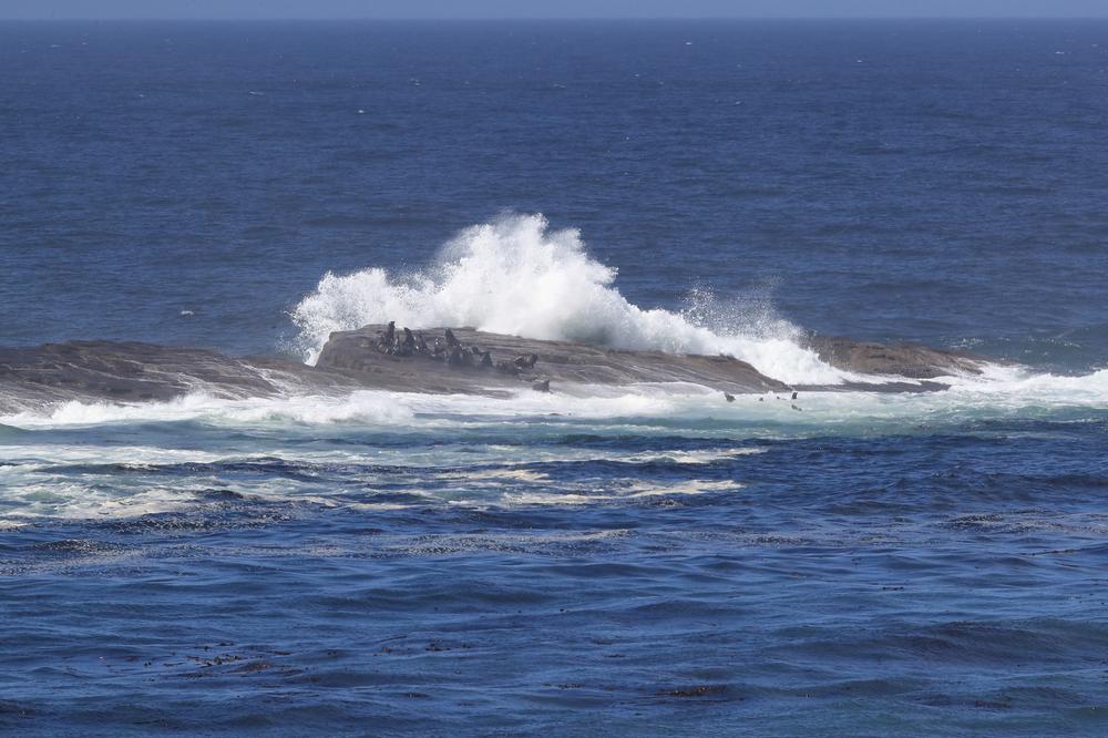 Soak in the Sound and Spray at Neptune State Scenic Viewpoint