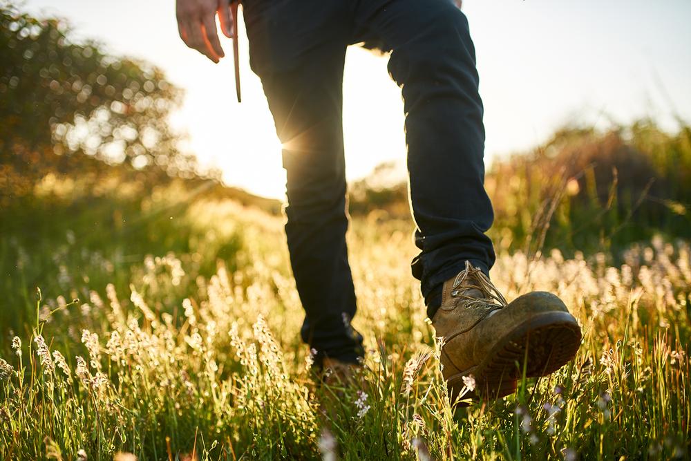 Wander into Tranquility at Paradise Valley Conservation Area
