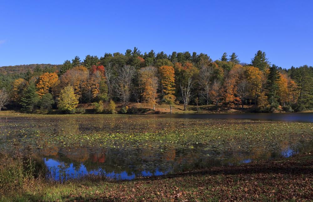 Wander the Trails of Moses H. Cone Memorial Park
