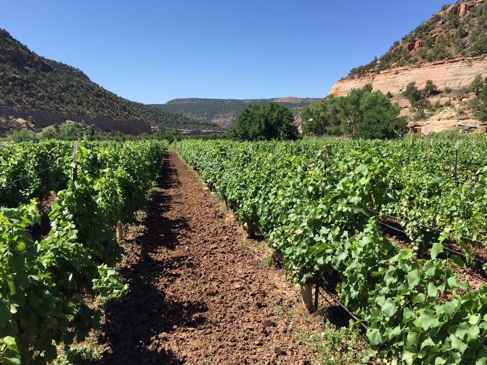 Montezuma Canyon Ranch & Vineyards