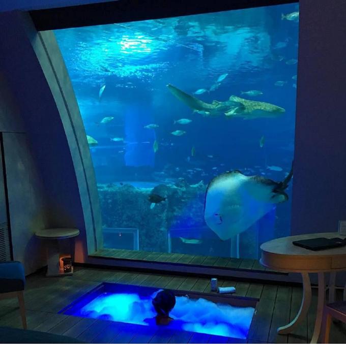 10 Best Underwater Hotels