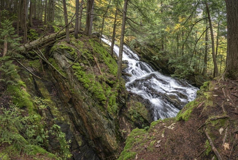 Green Mountain National Forest