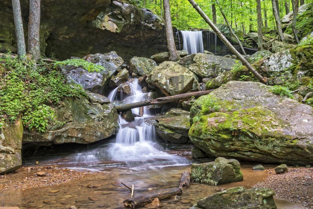 Explore a forested path leading to a secluded, peaceful waterfall.