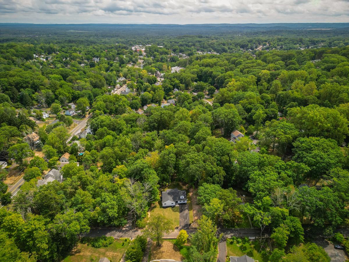 Trees in Bernardsville