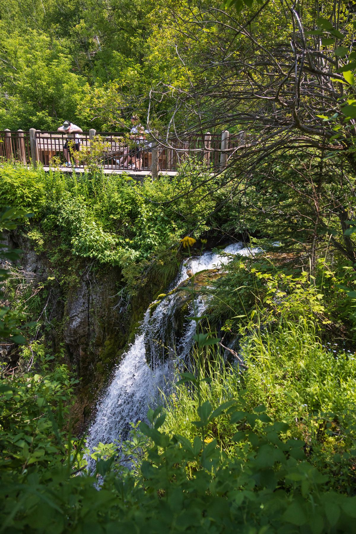 Little Spearfish creek, South Dakota