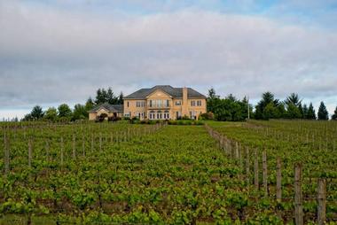 Cubanisimo Vineyards
