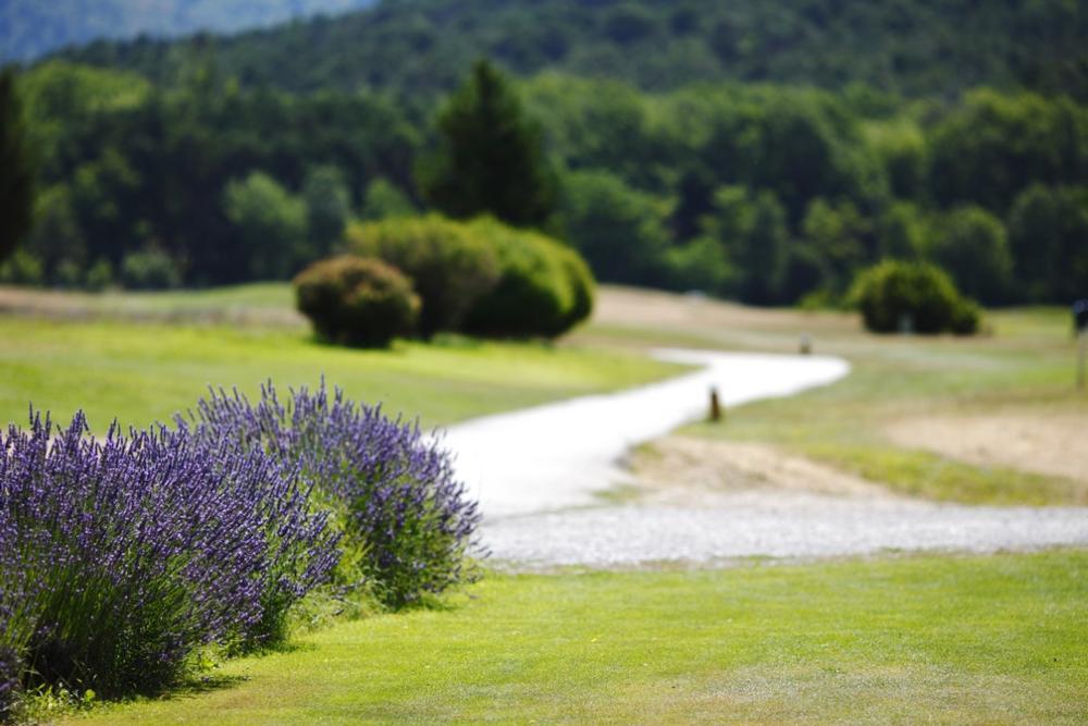 Walk lavender fields and admire mountain views on a peaceful retirement escape.