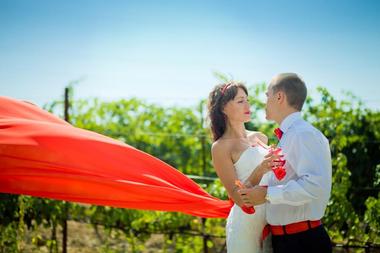 Cass Winery and Vineyard
