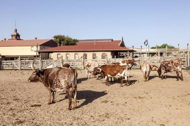 Fort Worth Stockyards Stables & Visitor Center
