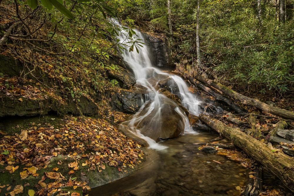 Log Hollow Falls - 2.5 hours from Charlotte