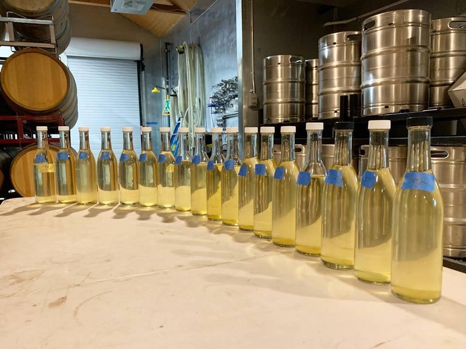 Taste Vineyard Artistry: If You Love Thoughtful, Sustainable Wines, Then Visit Matthiasson Winery