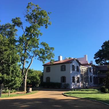 Belle Meade Plantation
