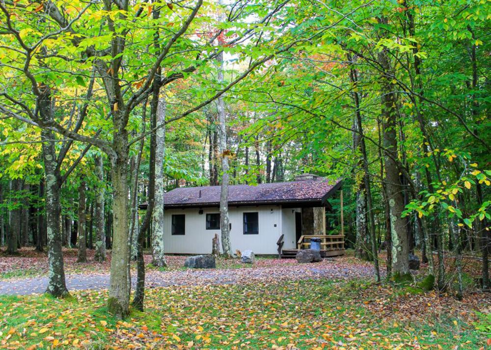 If Mountain Adventures Call You, Head to Canaan Valley Resort